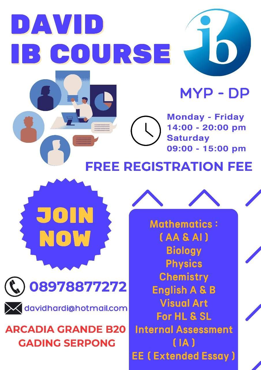 Flyer David IB Course